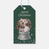 Green Snowglobe Snowflake Foto Geschenkanhänger (Vorderseite)