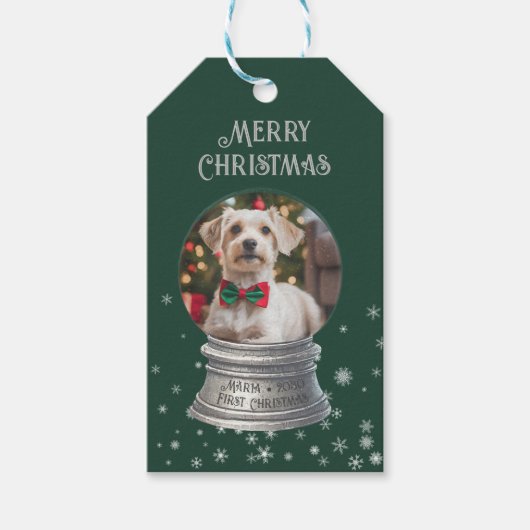 Green Snowglobe Snowflake Foto Geschenkanhänger (Vorderseite)