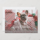 Green Snowy Foto Weihnachtskarten Feiertagskarte (Vorderseite)