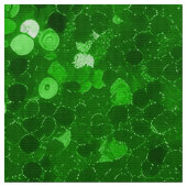 Green sparkling glitter pattern stoff (Nahaufnahme)