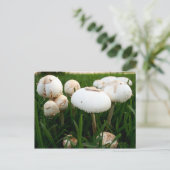 Green Spored Lepiota Postkarte (Stehend Vorderseite)