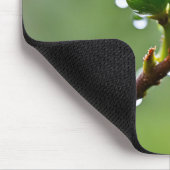 Green Spring Buds Mousepad (Ecke)