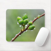 Green Spring Buds Mousepad (Mit Mouse)