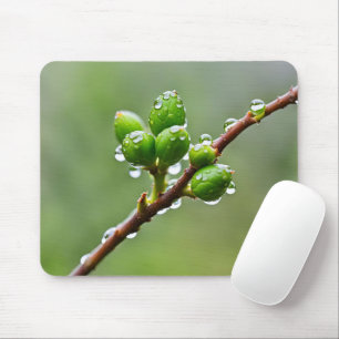 Green Spring Buds Mousepad