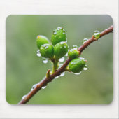 Green Spring Buds Mousepad (Vorne)