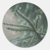 Green spruce tree close-up, Christmas aesthetic Runder Aufkleber (Vorderseite)