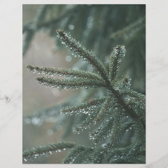 Green spruce tree, winter Scrapbook Paper (Vorderseite)