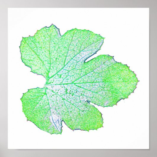 Green Squash Leaf Minimalismus Plakat (Vorne)