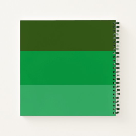 Green Stripe Buchstaben zu meinem Son Keepake Jour Notizblock (Rückseite)