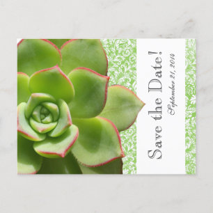 Green Succulator Vintag Damask Save the Date Ankündigungspostkarte