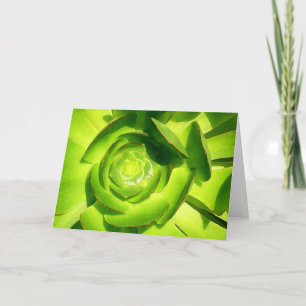Green Succulent Square by Amy Vangsgard Feiertagskarte