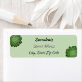 Green Succulents fotografische Rücksendeadresse (Insitu)