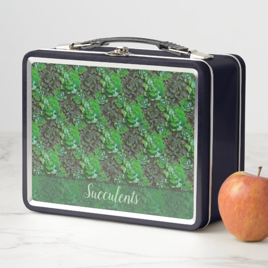Green Succules Lattice Muster Lunch Box (Beispiel)
