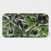 Green Suculents iPhone SE + iPhone 5/5S Case-Mate iPhone Hülle (Rückseite (Horizontal))