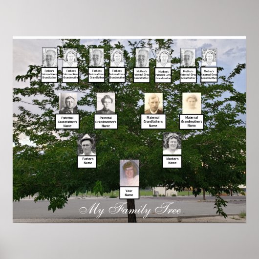 Green Summer Family Tree Foto Poster (Vorne)