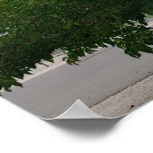 Green Summer Family Tree Foto Poster (Ecke)