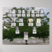 Green Summer Family Tree Foto Poster (Vorne)