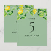 Green Summer Lemons und Folientafelname (Vorne/Hinten)