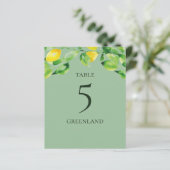 Green Summer Lemons und Folientafelname (Stehend Vorderseite)