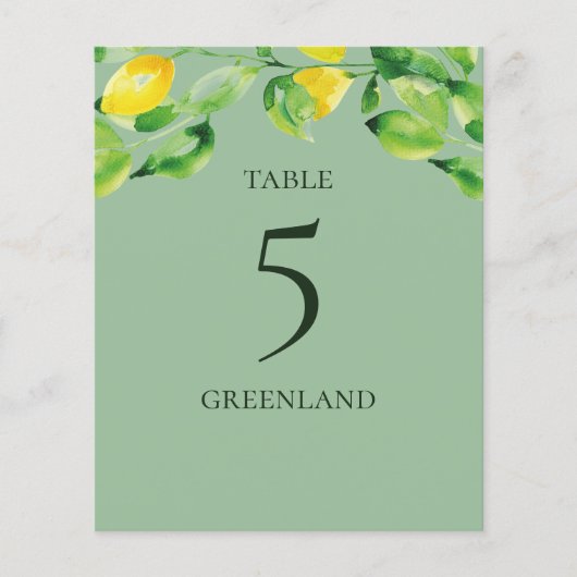 Green Summer Lemons und Folientafelname (Vorderseite)