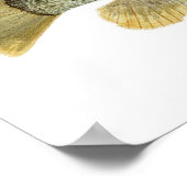 Green Sunfish Watercolor-Studie Poster (Ecke)