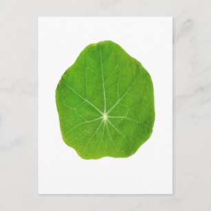 Green Support, Save the Planet Postkarte