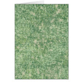 Green Textured Background von Shirley Taylor (Vorne)