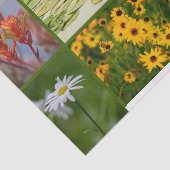 Green Theme Blume Pflanze Lily Pad Mixed Media Seidenpapier (Ausschnitt)