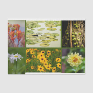 Green Theme Blume Pflanze Lily Pad Mixed Media Seidenpapier