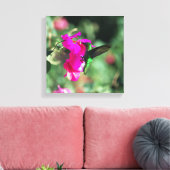 Green Throated Carib Hummingbird auf Bougainvillea Leinwanddruck (Insitu (Wohnzimmer))