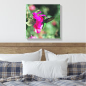 Green Throated Carib Hummingbird auf Bougainvillea Leinwanddruck (Insitu (Schlafzimmer))
