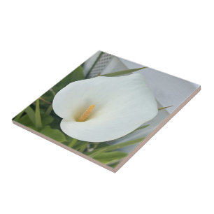 Green Thumb Garden Pflanze White Calla Lily Blume Fliese