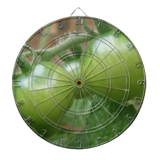 Green Tomates Dart Board Dartscheibe (vorne)