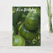GREEN TOMATO VEGETABLE GARDEN BIRTHDAY CARD KARTE (Vorderseite)