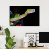 Green Tree Boa Stretching Poster (Heimbüro)