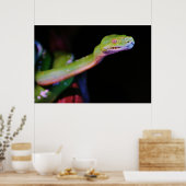 Green Tree Boa Stretching Poster (Küche)