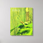 Green Tree Frog Australian Frog Leinwanddruck (Vorderseite)