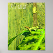 Green Tree Frog Australian Frog Poster (Vorne)
