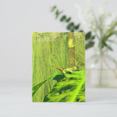 Green Tree Frog Australian Frog Postkarte (Stehend Vorderseite)