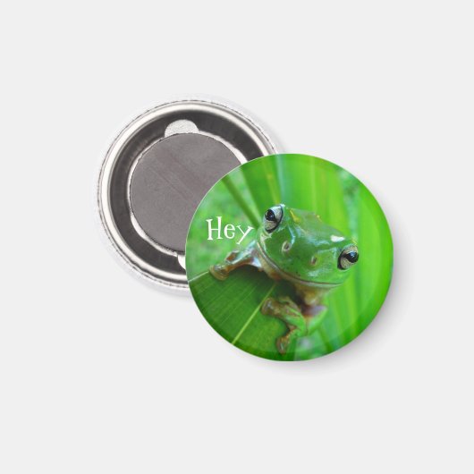 Green Tree Frog Magnet (Vorderseite/Rückseite)