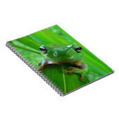 Green Tree Frog Notebook Notizblock (Rechte Seite)