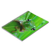 Green Tree Frog Notebook Notizblock (Linke Seite)
