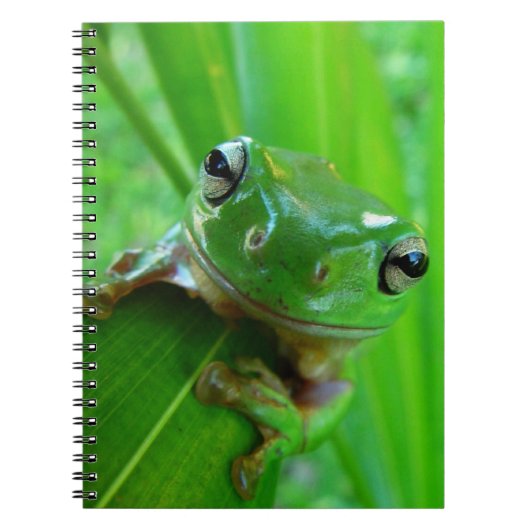 Green Tree Frog Notebook Notizblock (Vorderseite)