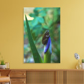 Green Tree Frog on Iris Leinwanddruck (Insitu (Wohnzimmer))