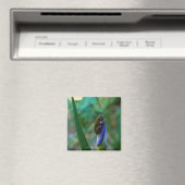 Green Tree Frog on Iris Magnet (In Situ (Geschirrspüler))