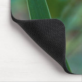 Green Tree Frog on Iris Mousepad (Ecke)