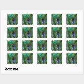 Green Tree Frog on Iris Quadratischer Aufkleber (Blatt)