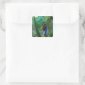 Green Tree Frog on Iris Quadratischer Aufkleber (Tasche)
