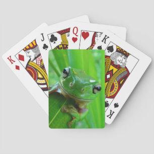 Green Tree Frog Playing Cards Spielkarten