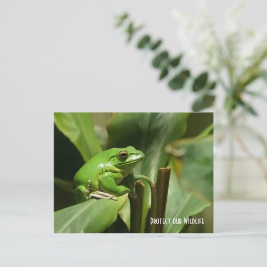 Green Tree Frog Post Card Postkarte (Stehend Vorderseite)
